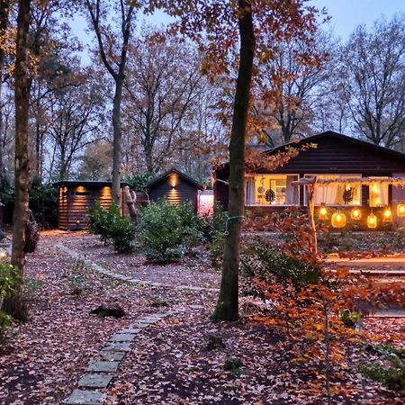 Lodge In Een Bosrijke Omgeving Met Hottub & Sauna Opt Rheezerveen Luaran gambar